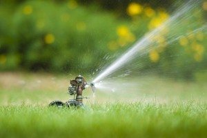Save Money By Maintaining Your Sprinklers