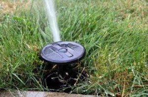 3 Reasons You Should Fix a Broken Sprinkler Head